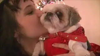 Paisley Turns 6 Years Old