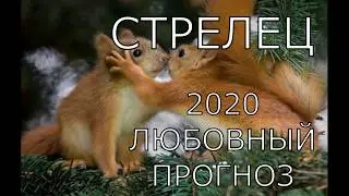 СТРЕЛЕЦ  ЛЮБОВНЫЙ ТАРО ПРОГНОЗ НА 2020 ГОД
