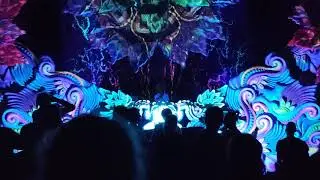 Tripswitch на Shankra Festival 2019
