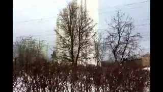 Щебетание воробьев