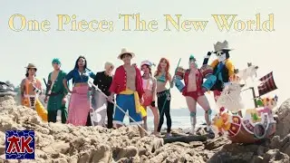 One Piece The New World