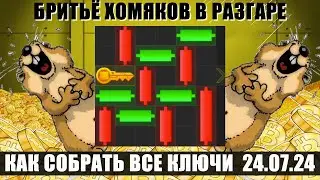 24 ИЮЛЯ КАК ПРОЙТИ МИНИ ИГРУ И ПОЛУЧИТЬ КЛЮЧ! MINI GAME HAMSTER KOMBAT дроп за ключи!