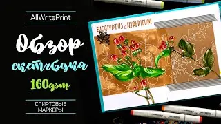 │ОБЗОР НА МОЙ СКЕТЧБУК 📓│ AllWritePrint 160gsm│Скетчинг маркерами│