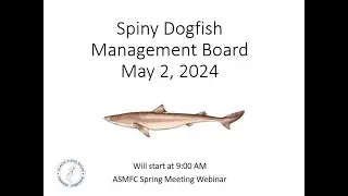Spiny Dogfish Board Proceedings May 2024