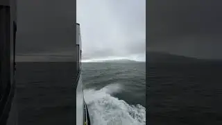 Wild 🌊🌊 #ocean #storm #nature #waves