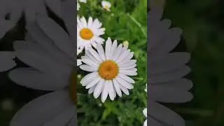 Лето!