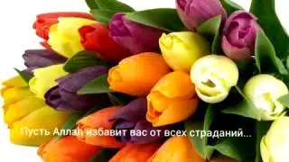 дорогим сестрам из администрации МИСБАХА от вашей сестры Амаалии.
