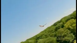 Hawk is Friend FPV
