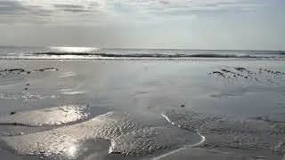 Jax Beach @ 16th St