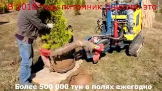 Внуково 2018