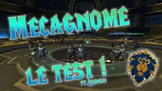 On test les mécagnomes ! (Ft.Leynoh)