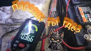 Приключения аккумуляторной паразитки. Часть первая.