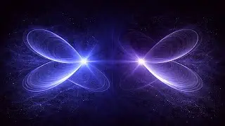 The Quantum Number That Shouldn’t Exist.