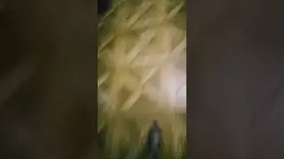 29 августа 2024 г.