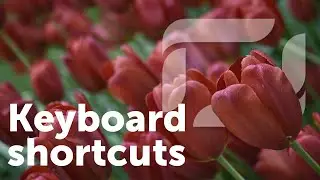 More Effective Workflow and Keyboard Shortcuts