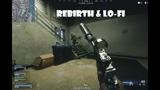 Rebirth Island & LoFi