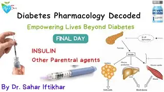 Last day diabetes crash course by Dr Sahar Medsparkles