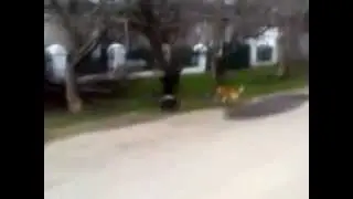 На мое ведро нассал)