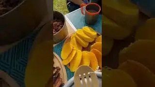 Breakfast at the foot of Mayon