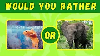 Interesting 'Would You Rather' Scenarios: Ultimate Animal Edition 🦁