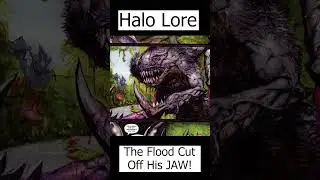 The Flood Cut Off His Jaw! Rtas Vadum | the White Elite Shipmaster - Halo Lore