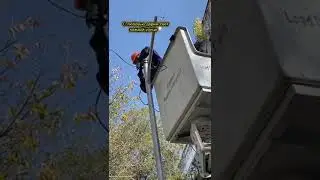 С любовью дарим свет каждой улице