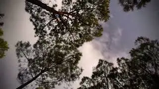 Gökyüzündeki Huzur / Peace on the Sky