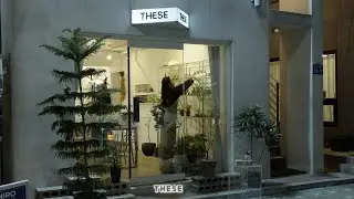 [PLAYLIST] 차분한 겨울 밤에 듣기 좋은 플레이리스트🎧 마포구 바이브🤙 THESE PLANT STUDIO 🪴