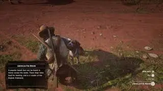 Dog Pet Glitch, Janky Arm in RDR2