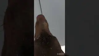 Пустите меня в гараж. Я же мёрзну. Согрейте меня ❤️ 