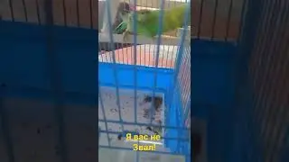 кусь