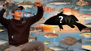 Caught a NEW bass species that doesn't exist
