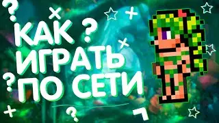 КАК ПОИГРАТЬ С ДРУГОМ В Terraria 1.4 НА ПИРАТКЕ 2022 2021 РАБОТАЕТ