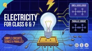 6 Term 2 Electricity Simple Circuits Series & Parallel Connections, Conductors & Insulators #edu4all