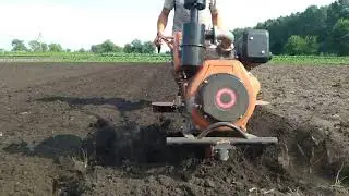 ПАШУ ДИЗЕЛЬНЫМ МОТОБЛОКОМ ПОД ПЕКИНСКУЮ КАПУСТУ.