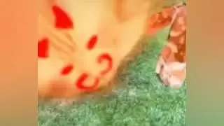СТОЙ!Я ПОКАЖУ САМЫЕ КРУТЫЕ ПЕСЕНКИ 😺