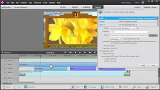 Adobe Elements for Small Business - Lesson 7