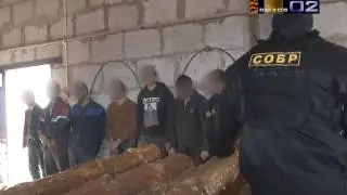 Проверка мигрантов