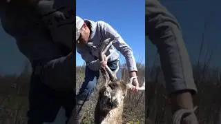 Finding a GIANT dead buck 