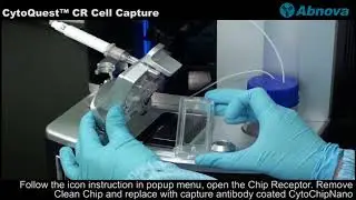 CytoQuest™ CR Cell Capture