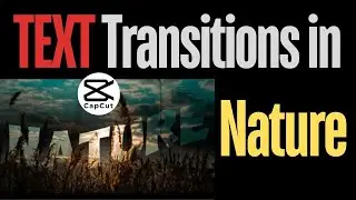 Seamless TEXT Passage in Nature | TEXT Passage & Transition Tips