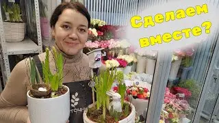 🌷 Florist's Week | March 8 is coming soon | First holiday deliveries