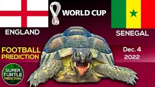 England vs Senegal ⚽ FIFA World Cup 2022 | 🐢 Turtle Football Predictions