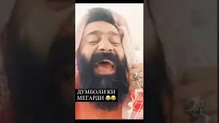 Думболи чи мегарди 🤣😁