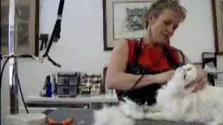 Shaving a Beautiful Pussy