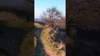 на лисій горі