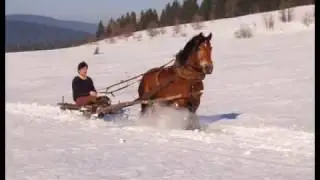 Goraľu cy či ne žaľ.