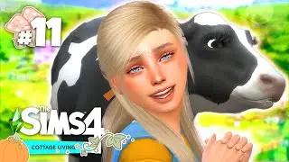 we FINALLY got a moo cow 🐮🐄 Cottage Living #11!