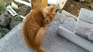 Leyla ile Mecnun yeni mekanlarıyla tanışıyor