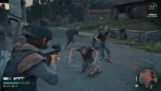 Days Gone